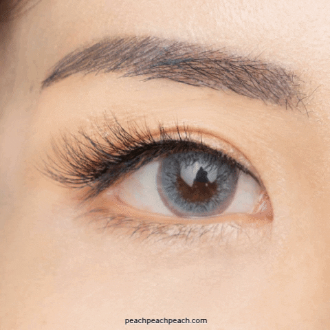 Natural Mink Lash (3D Effect) - Peach Peach PeachMINK_Winged